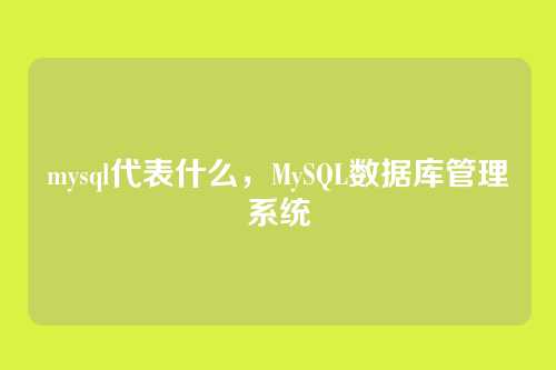 mysql代表什么，MySQL数据库管理系统