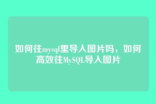 如何往mysql里导入图片吗,如何高效往MySQL导入图片