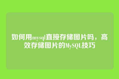 如何用mysql直接存储图片吗,高效存储图片的MySQL技巧