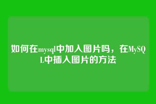 如何在mysql中加入图片吗,在MySQL中插入图片的方法