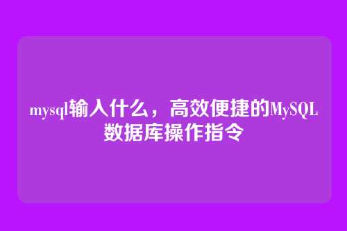 mysql输入什么,高效便捷的MySQL数据库操作指令