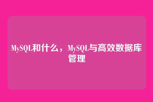 MySQL和什么,MySQL与高效数据库管理