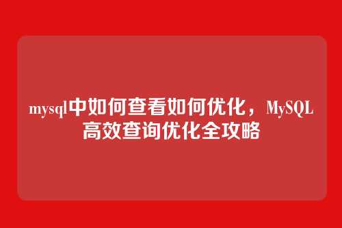 mysql中如何查看如何优化,MySQL高效查询优化全攻略