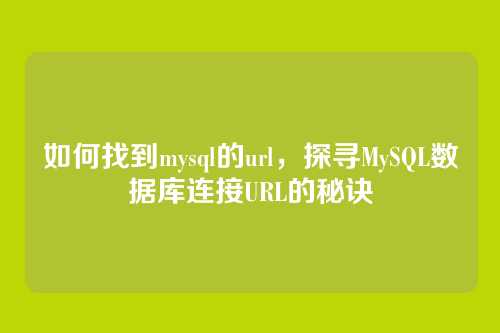 如何找到mysql的url,探寻MySQL数据库连接URL的秘诀