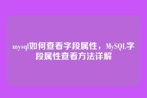 mysql如何查看字段属性,MySQL字段属性查看方法详解