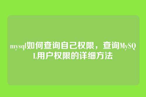 mysql如何查询自己权限,查询MySQL用户权限的详细方法