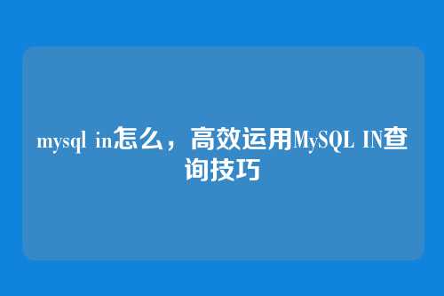 mysql in怎么，高效运用MySQL IN查询技巧
