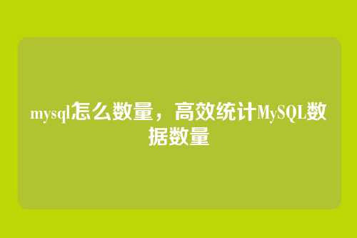 mysql怎么数量,高效统计MySQL数据数量