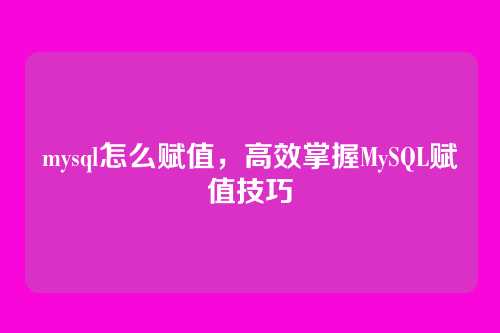 mysql怎么赋值，高效掌握MySQL赋值技巧