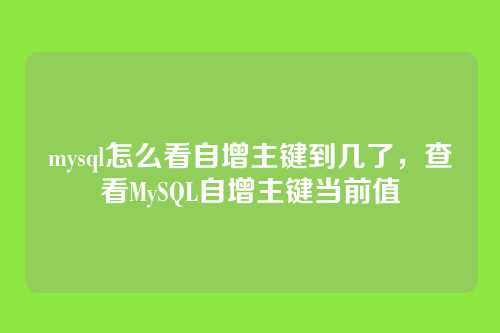 mysql怎么看自增主键到几了,查看MySQL自增主键当前值