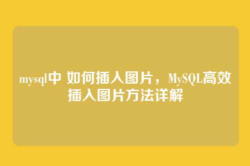 mysql中 如何插入图片,MySQL高效插入图片方法详解