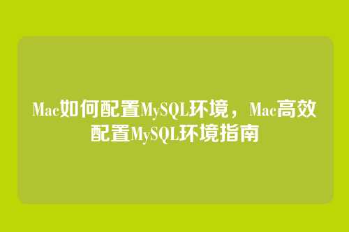 Mac如何配置MySQL环境,Mac高效配置MySQL环境指南
