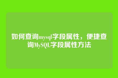 如何查询mysql字段属性,便捷查询MySQL字段属性方法