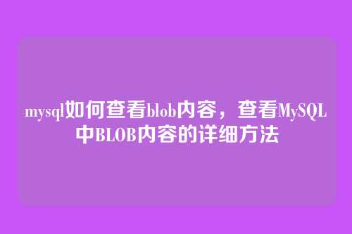 mysql如何查看blob内容,查看MySQL中BLOB内容的详细方法