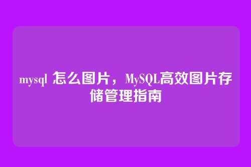 mysql 怎么图片,MySQL高效图片存储管理指南
