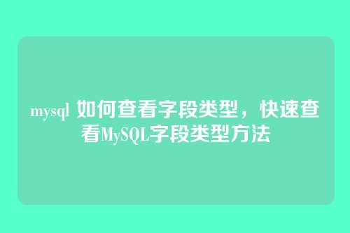 mysql 如何查看字段类型,快速查看MySQL字段类型方法