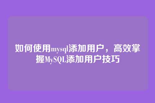 如何使用mysql添加用户,高效掌握MySQL添加用户技巧