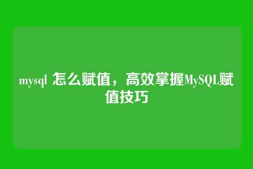 mysql 怎么赋值，高效掌握MySQL赋值技巧