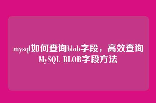 mysql如何查询blob字段，高效查询MySQL BLOB字段方法