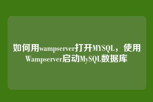 如何用wampserver打开MYSQL,使用Wampserver启动MySQL数据库