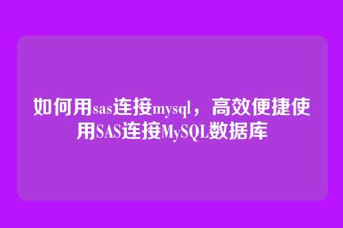 如何用sas连接mysql,高效便捷使用SAS连接MySQL数据库