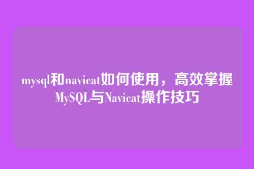 mysql和navicat如何使用，高效掌握MySQL与Navicat操作技巧