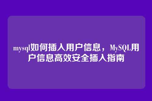 mysql如何插入用户信息,MySQL用户信息高效安全插入指南
