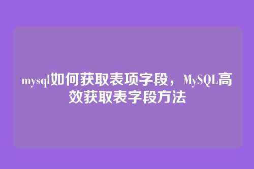 mysql如何获取表项字段，MySQL高效获取表字段方法