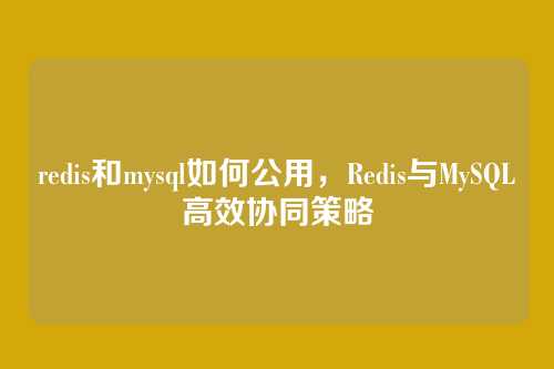 redis和mysql如何公用,Redis与MySQL高效协同策略