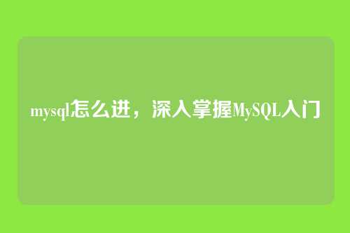 mysql怎么进,深入掌握MySQL入门