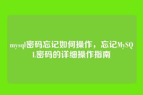 mysql密码忘记如何操作,忘记MySQL密码的详细操作指南