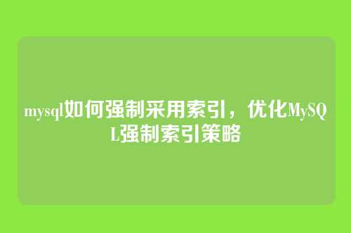 mysql如何强制采用索引,优化MySQL强制索引策略