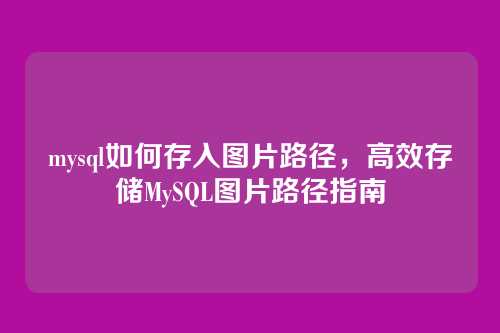 mysql如何存入图片路径，高效存储MySQL图片路径指南