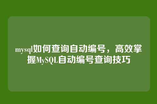 mysql如何查询自动编号,高效掌握MySQL自动编号查询技巧