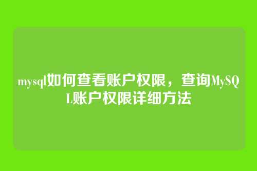 mysql如何查看账户权限,查询MySQL账户权限详细方法