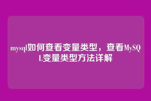 mysql如何查看变量类型,查看MySQL变量类型方法详解