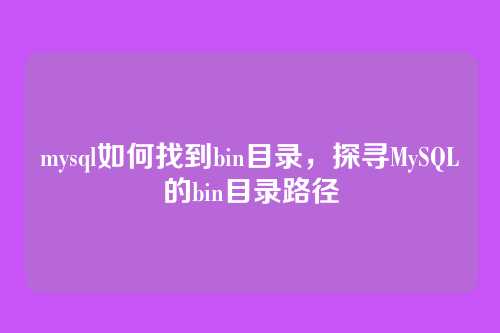 mysql如何找到bin目录,探寻MySQL的bin目录路径
