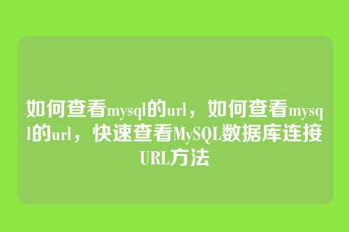 如何查看mysql的url,如何查看mysql的url,快速查看MySQL数据库连接URL方法