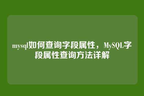 mysql如何查询字段属性,MySQL字段属性查询方法详解