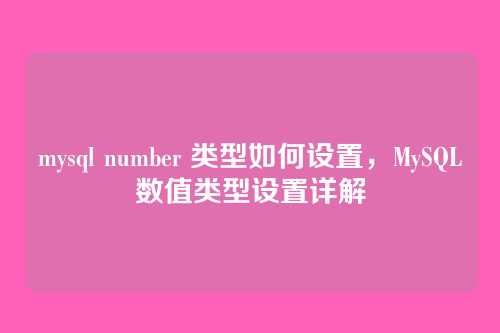 mysql number 类型如何设置,MySQL数值类型设置详解
