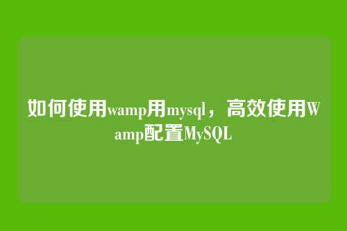 如何使用wamp用mysql,高效使用Wamp配置MySQL