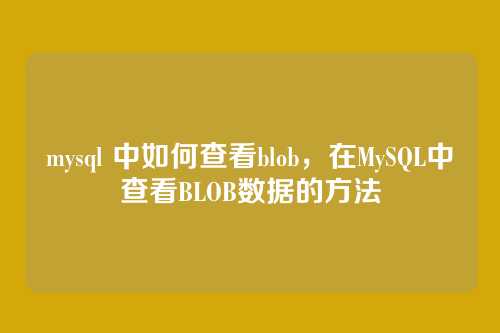 mysql 中如何查看blob,在MySQL中查看BLOB数据的方法