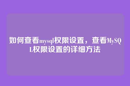 如何查看mysql权限设置,查看MySQL权限设置的详细方法