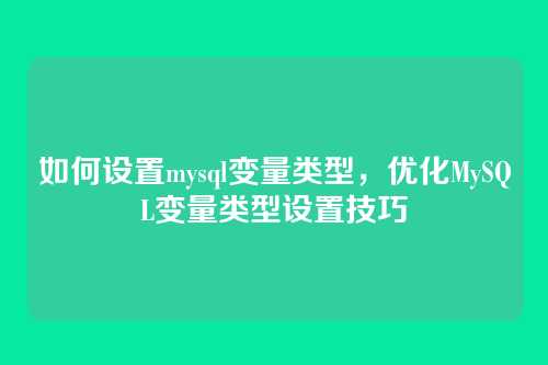 如何设置mysql变量类型，优化MySQL变量类型设置技巧