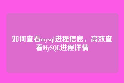 如何查看mysql进程信息,高效查看MySQL进程详情