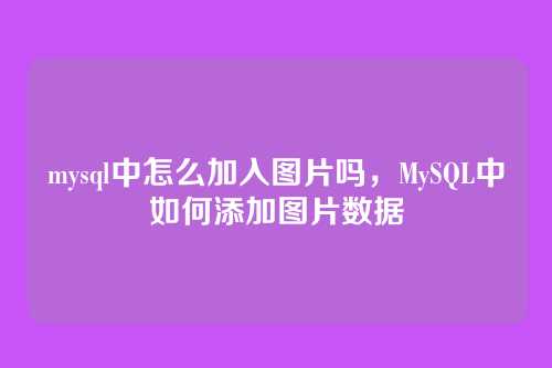 mysql中怎么加入图片吗,MySQL中如何添加图片数据