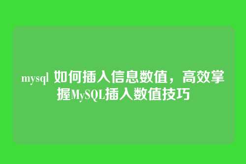 mysql 如何插入信息数值,高效掌握MySQL插入数值技巧