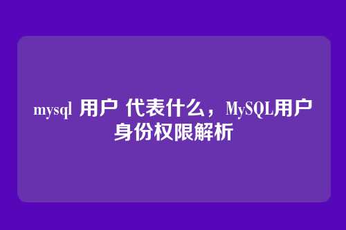mysql 用户 代表什么,MySQL用户身份权限解析