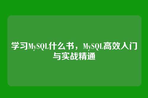 学习MySQL什么书,MySQL高效入门与实战精通