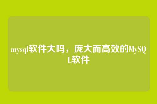 mysql软件大吗,庞大而高效的MySQL软件